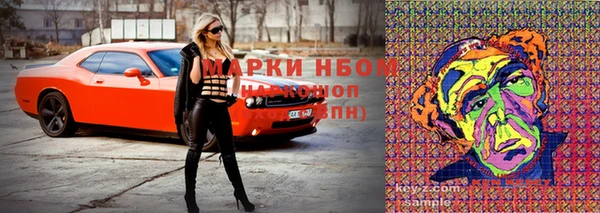 эйфоретик Алзамай